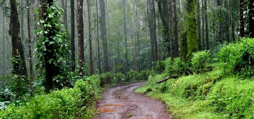 Chikmagalur Weekend Tour